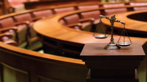 Dotcom lawyer set for court date