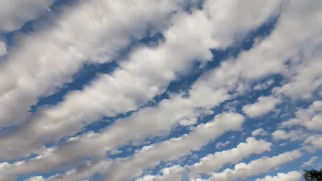 NZ first as OneNet becomes signatory to CloudCode
