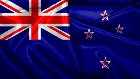 Why 'purpose built' internet can fuel Kiwi business growth...