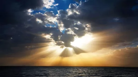 Xero: CloudCode demonstrates global leadership