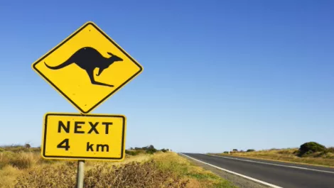 Kiwi success prompts Oz app office opening…