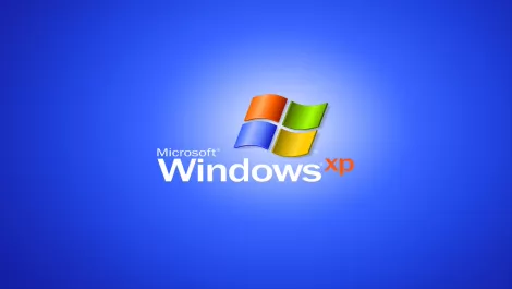 Kiwis: Underestimate Windows XP upgrade at your peril