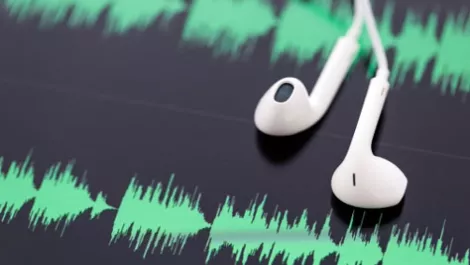 Are you listening to me?