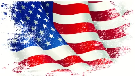 Homegrown tech export cracking America