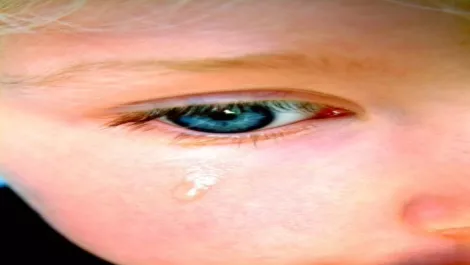 Telecom joins internet child porn filter