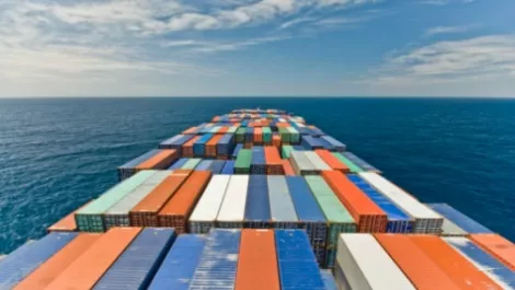 T.A Macalister dumps distribution
