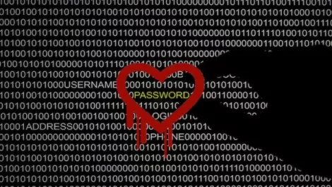 Are vulnerabilities really a risk or simply hype?