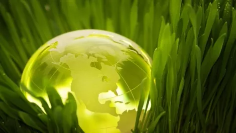It's easy being green