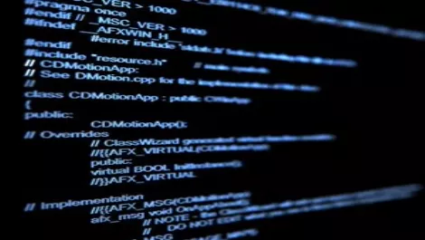 The value of passionate custom software development