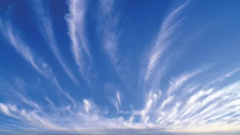 Lines between desktop computing and the cloud continue to be blurred