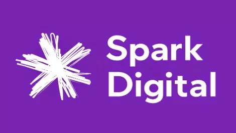 Ernst and Young chooses Spark Digital as NZ telco partner