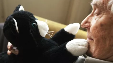 Robot cat helps dementia patients