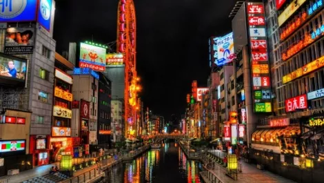 Kiwi teachers to learn about Japan's cutting-edge technology