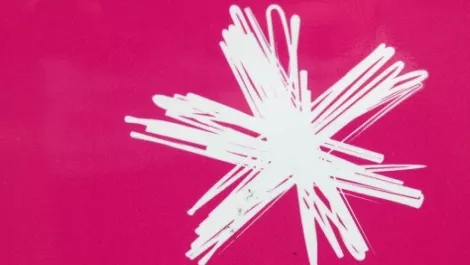 Spark's market cap slips, as investors weigh increased competition