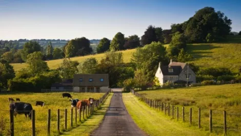 Spark dangles rural wireless broadband carrot