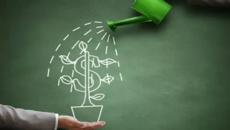 Seeking better seed capital terms for NZ startups