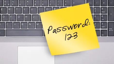 Businesses facing serious risk from haphazard PAM
