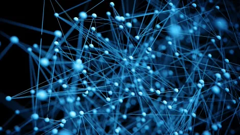 New SDN player sees Kiwi market potential