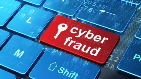 Ecosystem-based strategies lowers fraud levels