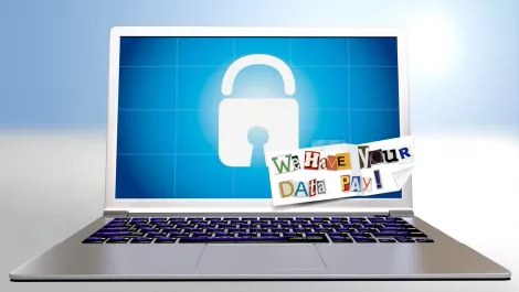 Kiwi universities and businesses targeted by scammers