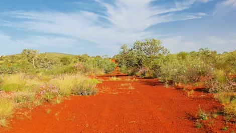 ACCC action sees reseller banned from entering indigenous communities