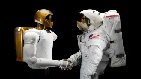 The robots are coming! Shouldn't Kiwis be more worried?