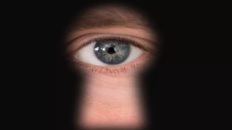 InternetNZ launches business transparency tools to report mass surveillance