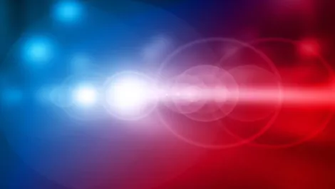 Public will have access to NZ Police online crime data