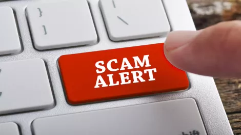 At it again: Scammers targeting Kiwi elderly