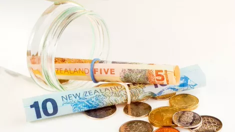 Hewlett-Packard New Zealand back in black - despite halving of revenue
