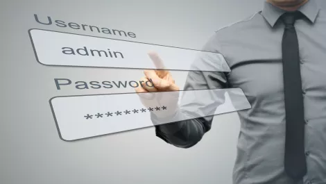 Around 17 million websites are already powered by WordPress - are they secure?