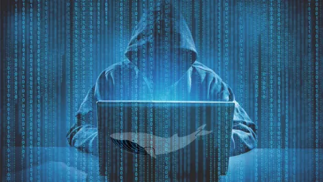 We can stop our students being harmed by 'Blue Whale'