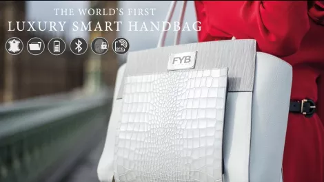 This handbag charges your phone and protects from prying hands