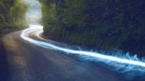 Free the network: Four reasons to build your network with SD-WAN