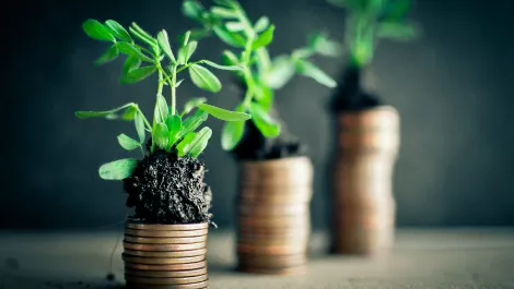Savvy business investments see Datacom revenue and profit continue to soar