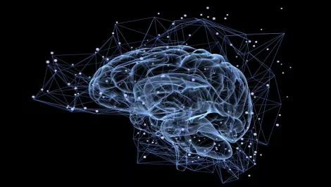 AI data scientist startup secures AU$16m in Series-A funding