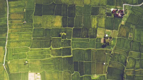Govt. puts $800,000 towards 3-D aerial mapping of Northland