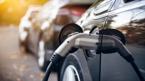 Why Kiwis love plug-in hybrid vehicles