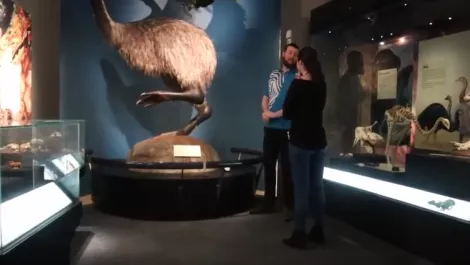 You can now download Te Papa's national art collection