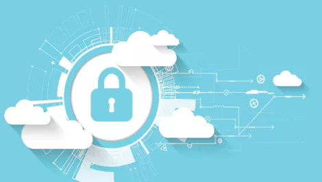 Hillstone and Array Networks team up, creating a resilient security solution