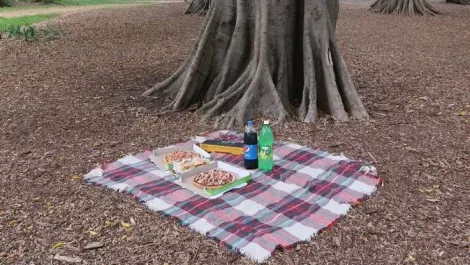Get your pizza delivered directly to your beach towel this summer