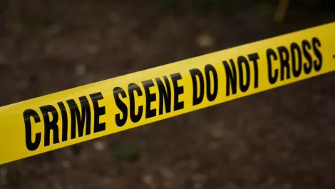 Cybercrime now affecting more people than any other crime