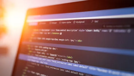 Enspiral Dev Academy offers scholarships to Māori & Pasifika