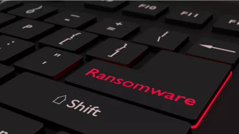 Backup vendor launches SaaS app to tackle ransomware