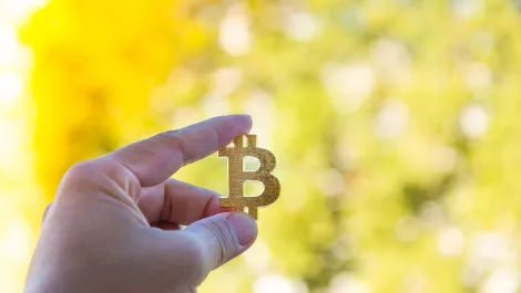 Brother-sister duo build crypto investment platform