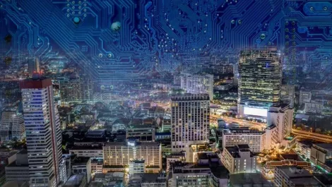Connected humans and the quest for health, wealth and happiness