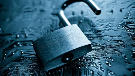 Almost half of NZ businesses unprepared for data breaches