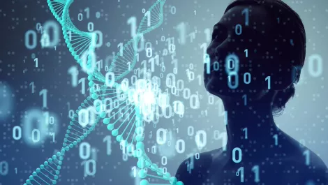 NZ closing the gender gap but tech sector lags behind