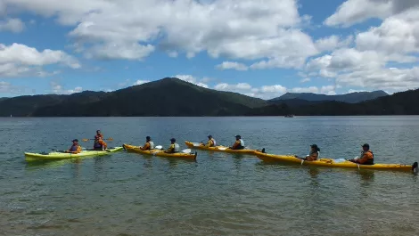 Comstor takes partners to visit NZ scenic royalty