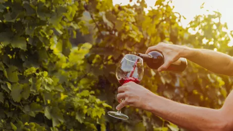 New DXC Tech solution provides 'grape-to-glass' tracking